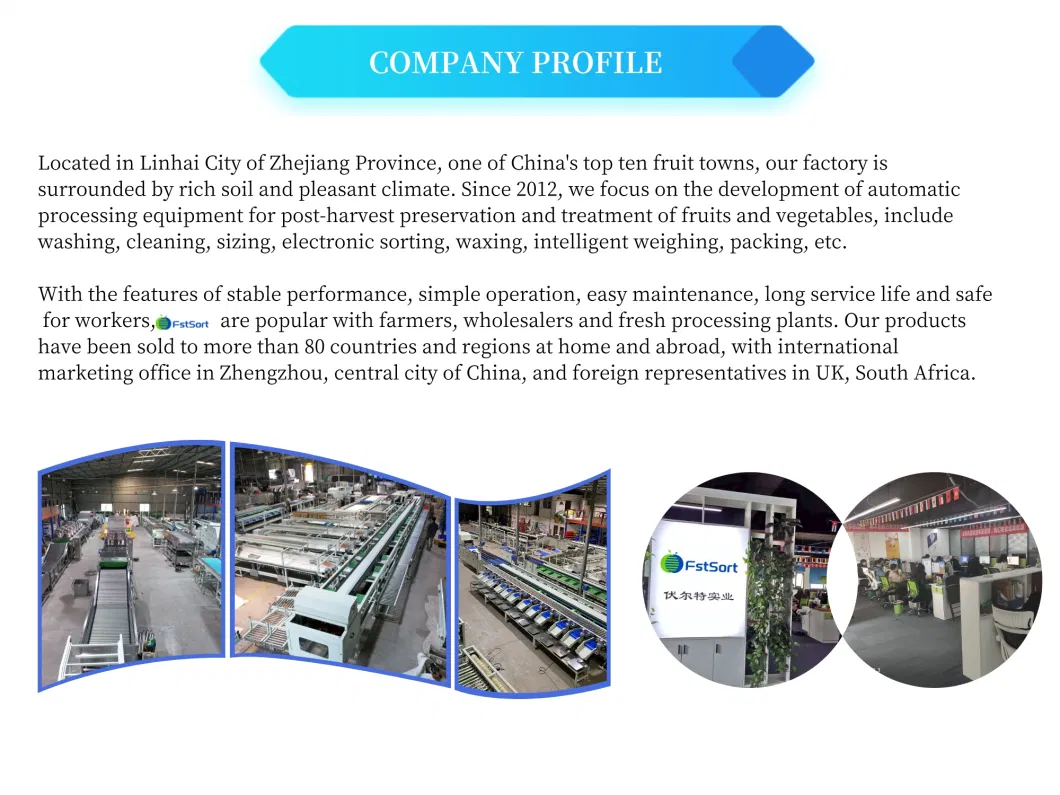 Vegetable Washing Machine Manufacturers Vegetable Processing Equipment Potato Cleaning Picking System